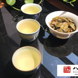 你用什么冲泡普洱茶