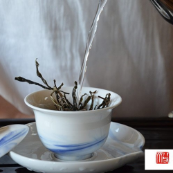 水仙茶泡茶技术