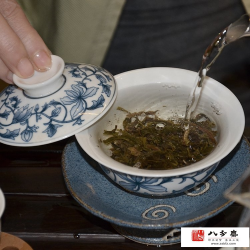 普洱茶飘逸杯泡法