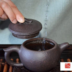 60~100℃的水，分别适合泡什么茶？