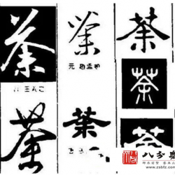 “茶”字是这样来的